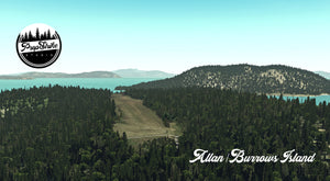 Allan Burrows Island